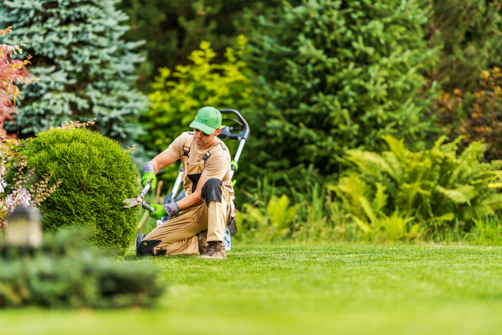 Professional Gardener Shaping Green Shrub with Garden Scissors During Landscape Maintenance Work. Blurred Background with Copy Space and Property Maintenance silver springs in Florida.