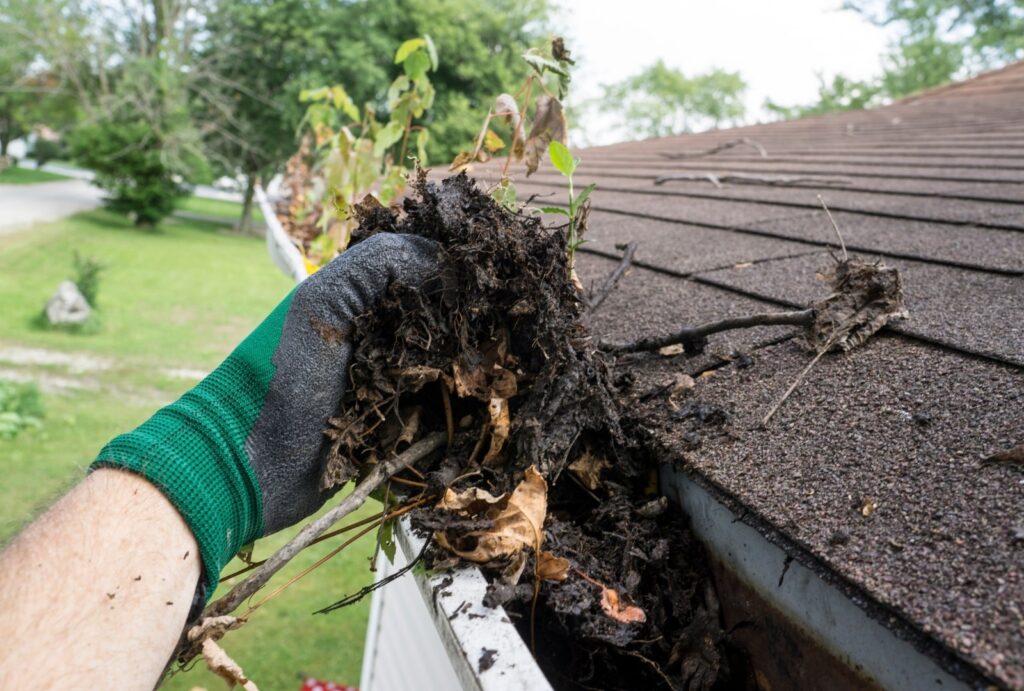 Commercial Gutter Cleaning cost: Ocala Business Owners