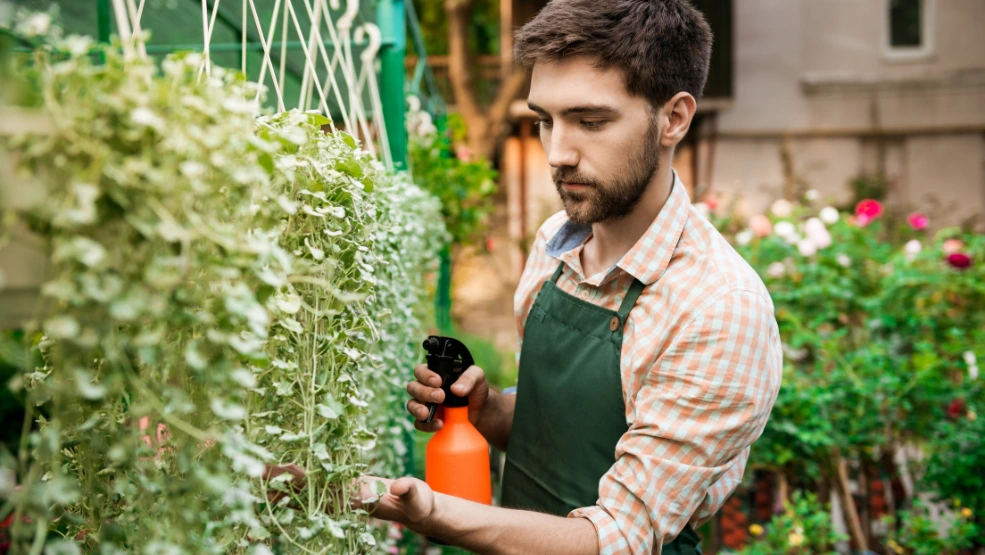 A Manager's Roi Guide to Commercial Lawn Care in Ocala, FL