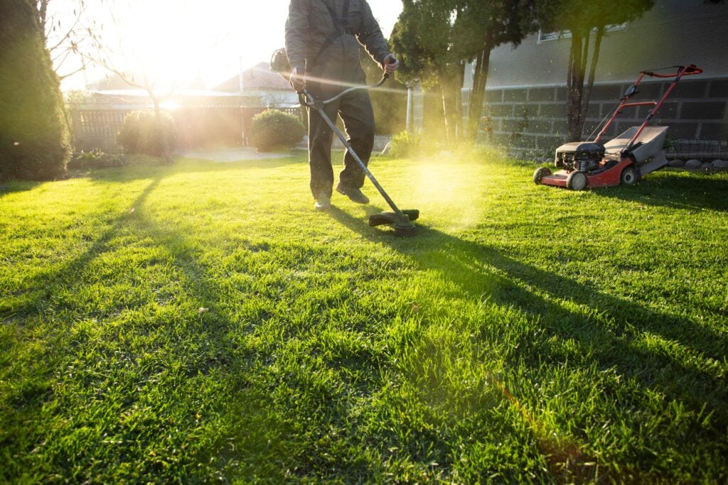 A professional landscaper using a string trimmer to edge a lush green lawn during a bright sunset, with a red lawn mower visible in the background. On Top of the World Ocala lawn care guidelines.