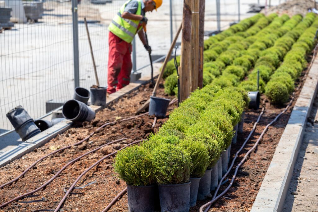 A landscaping worker in a high-visibility vest and hard hat planting rows of green shrubs in a city park with a drip irrigation system installed in the soil from Stone Creek HOA Compliant.