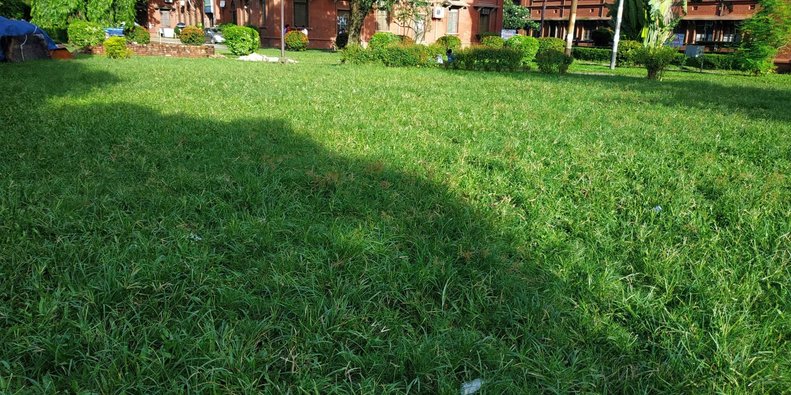 A wide, sunlit green grass lawn in front of a classic brick building requiring a visit from the best lawn service near me in Atlanta, GA.