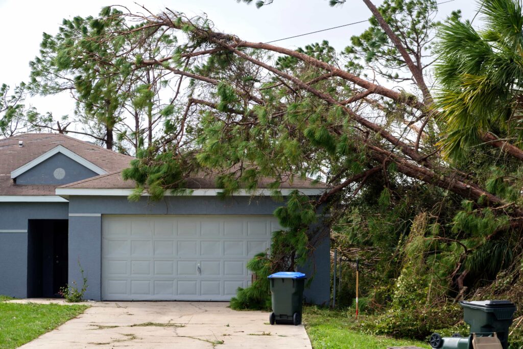 Large pine tree fallen on a residential garage roof after a storm, requiring a post-storm recovery emergency tree removal in Central Florida.