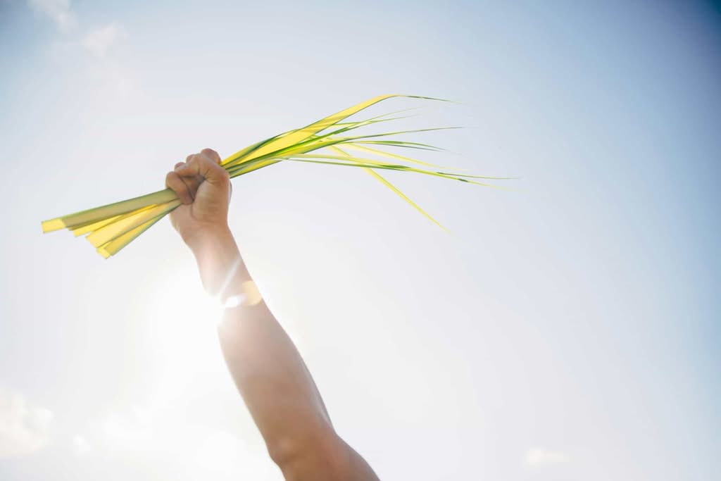 A person's arm raised high against a bright blue, sunlit sky holding green palm fronds during a Palm Sunday church service celebration in Orlando, FL.