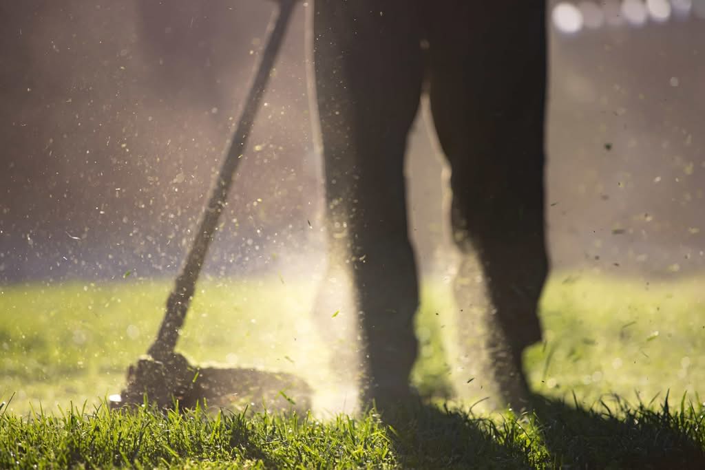 What Is the Best Height to Cut Grass? Proven Mowing Rules