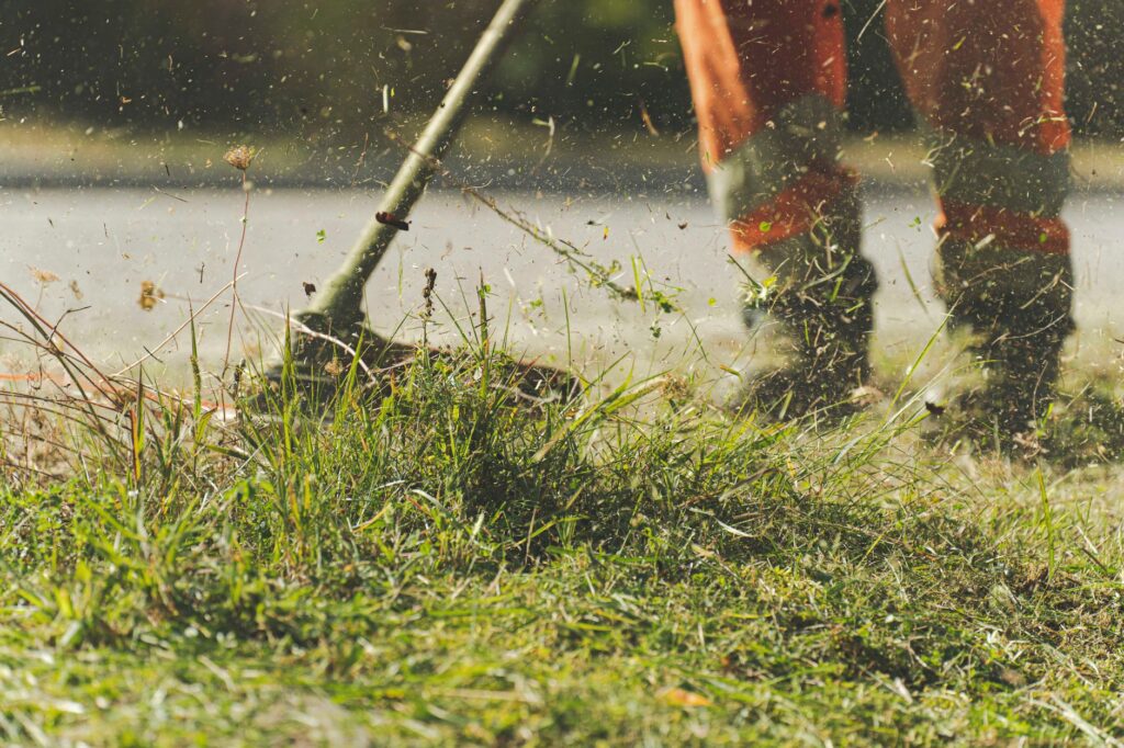 Finding Trusted Lawn Mowing Companies Near Me in Ocala 2 freshly cut lawn showing even mowing height in Ocala Florida