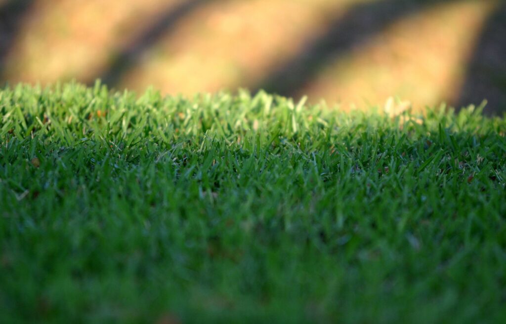Ocala's Best Grass Cutting Service Near Me: What Homeowners Need to Know 3 seasonal mowing height chart for Ocala Florida lawns