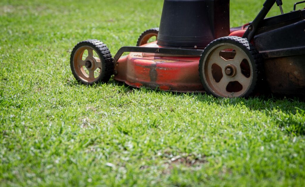 Your Complete Guide to Lawn Mowing Ocala FL Homeowners Trust in 2026 2 side-by-side comparison of overgrown lawn vs freshly mowed lawn in Ocala