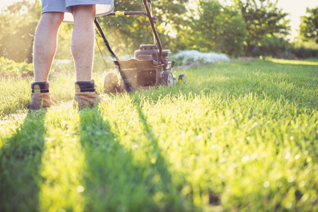 comparison of DIY push mower versus professional mowing crew equipment