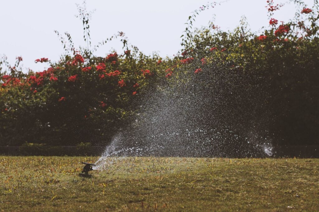 healthy green lawn maintained through regular Ocala lawn care