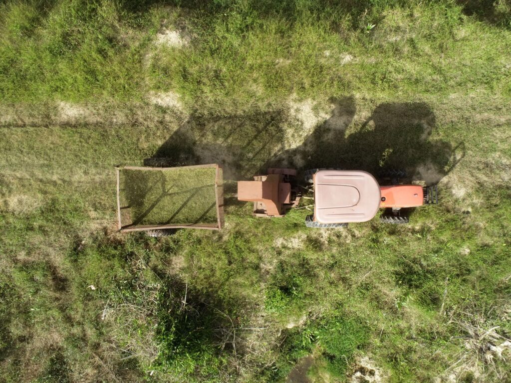 Average Cost of Lawn Care Near Me: What Ocala Families Pay in 2026 2 side-by-side comparison of overgrown versus freshly mowed lawn in Marion County
