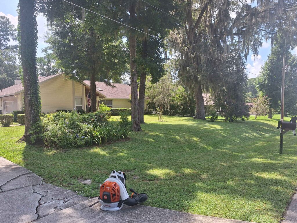 Ocala's Family-Run Weekly Lawn Care Plans for 2026 2 Ocala lawn showing healthy weekly lawn care results after a rainy summer